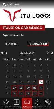 Miniatura OK CAR