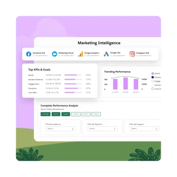 Miniatura Salesforce para ONG