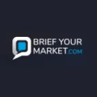 BriefYourMarket.com