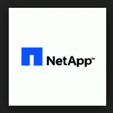 NetApp Backup Backup Chile