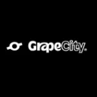 Grapecity Inc Chile