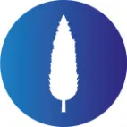 Ciprés logotipo
