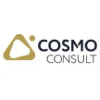 COSMO CONSULT