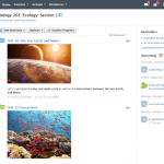 Schoology 5
