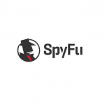 SpyFu Optimización SEO 1