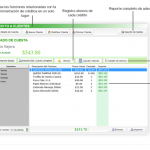 Eleventa punto de venta 10